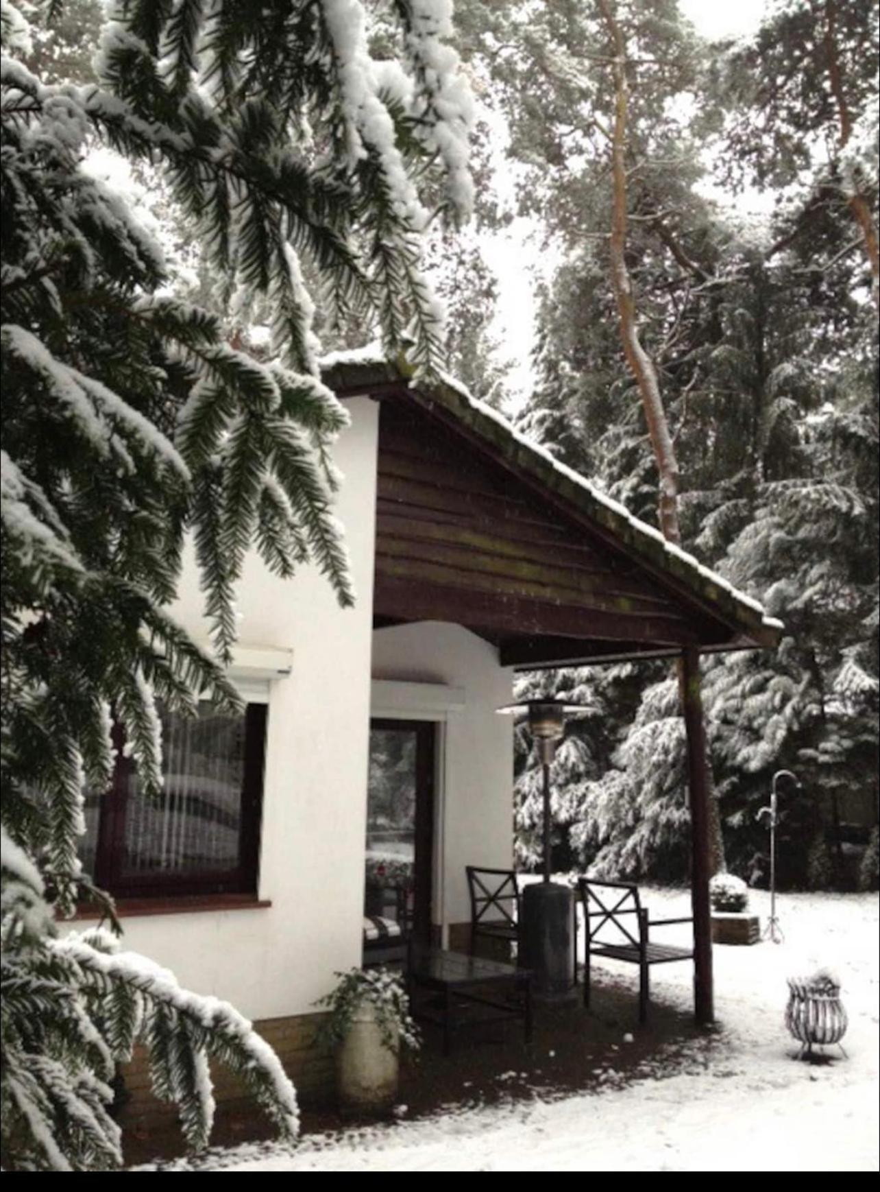 Magical Cottage In The Woods Baarn Kültér fotó